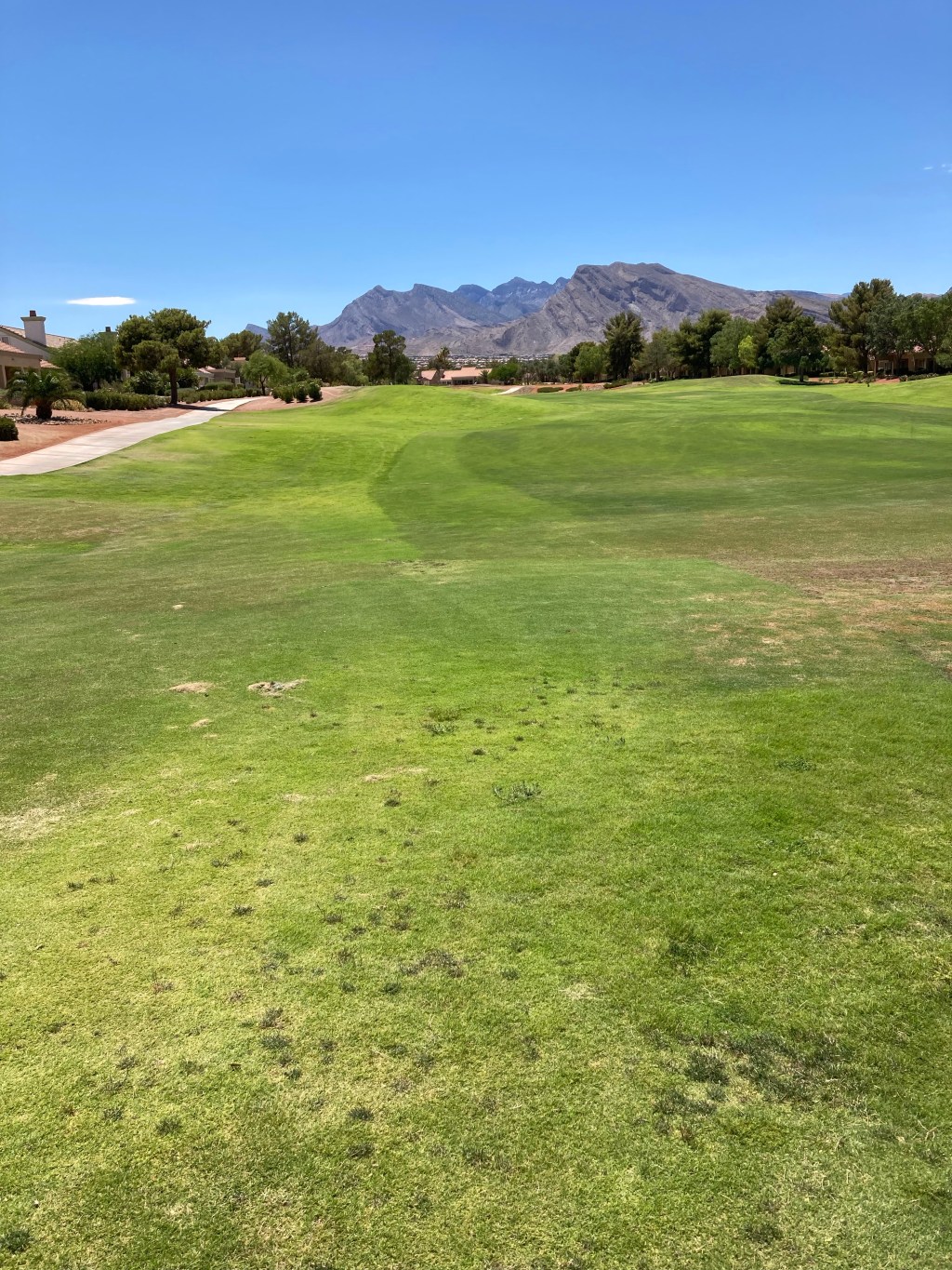 On Tiger Woods and&nbsp;Heroes